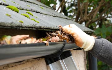gutter cleaning Wester Foffarty, Angus