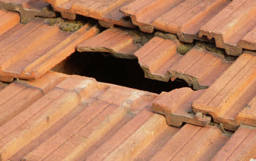 roof repair Wester Foffarty, Angus